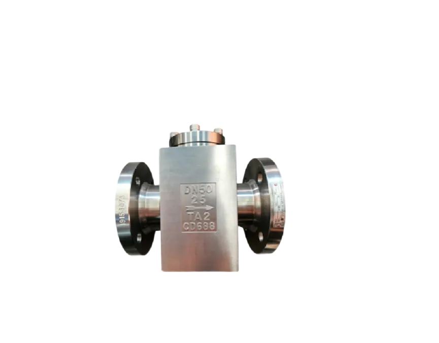 Titanium Check Valve